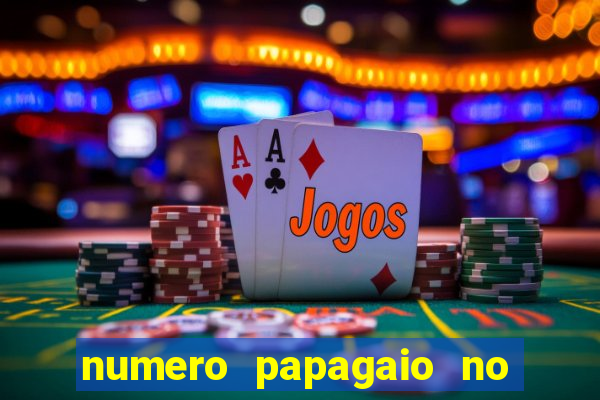 numero papagaio no jogo do bicho